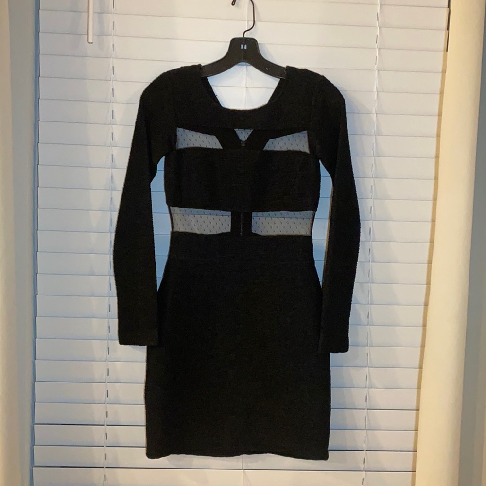 BCBG Bodycon Dress